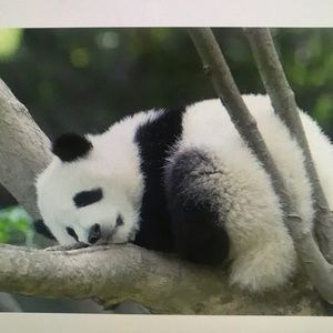 Meet your Posher, Jose